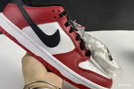 SB BQ6817-600 J-Pack Low Dunk Nike Chicago 0517